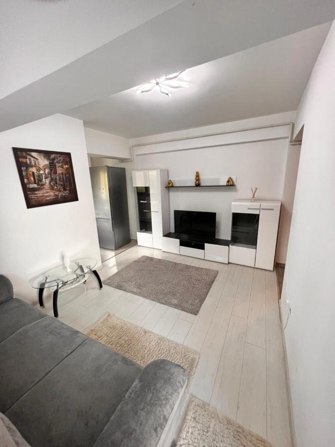 2 Rooms Apartment Airy & Bright Relax Iasi Extérieur photo